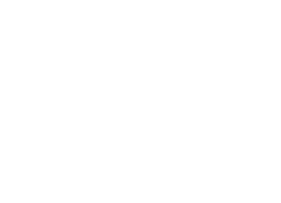 Grey and Black Car Rental Service Logo (1)